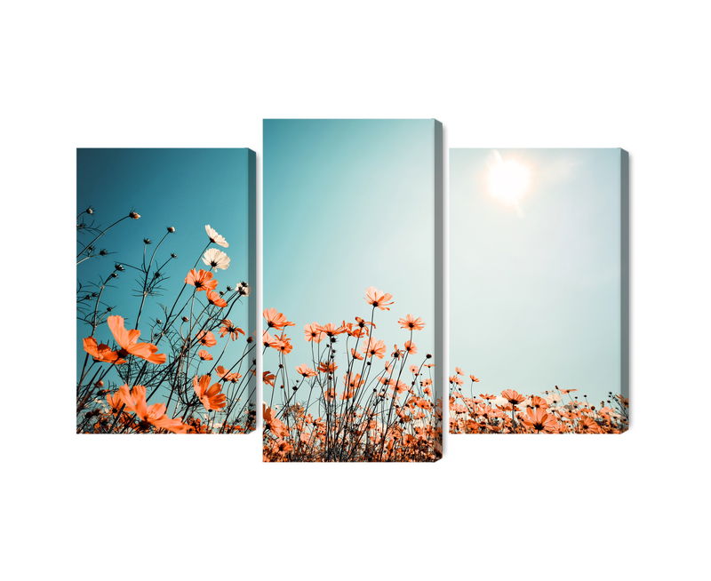 Ljuddämpande tavla - Field flowers in the sun