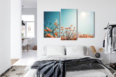 Ljuddämpande tavla - Field flowers in the sun