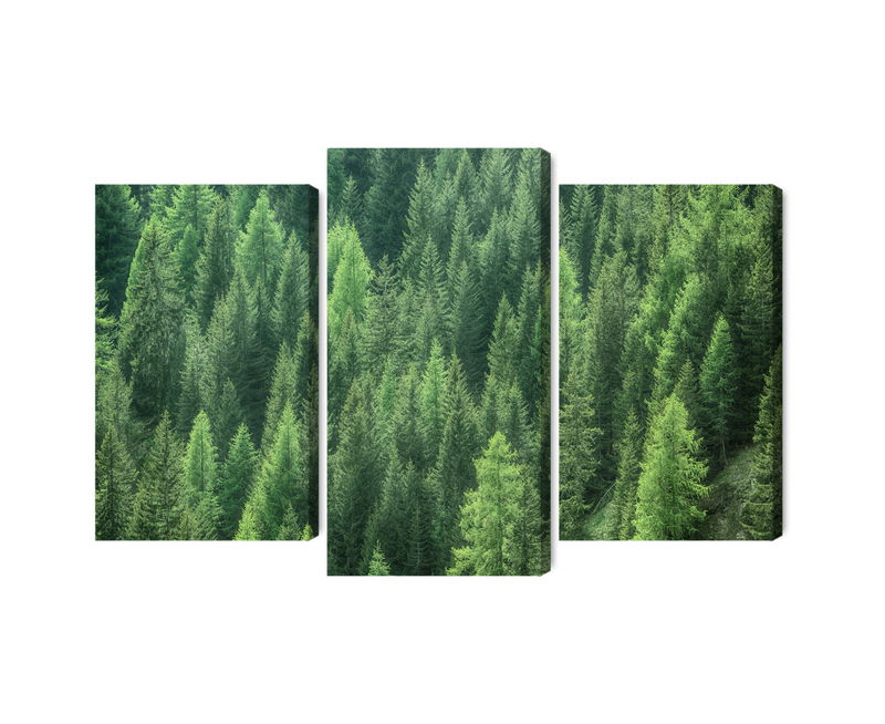 Ljuddämpande tavla - 3d green forest view
