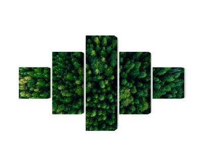 Ljuddämpande tavla - Aerial view of the green