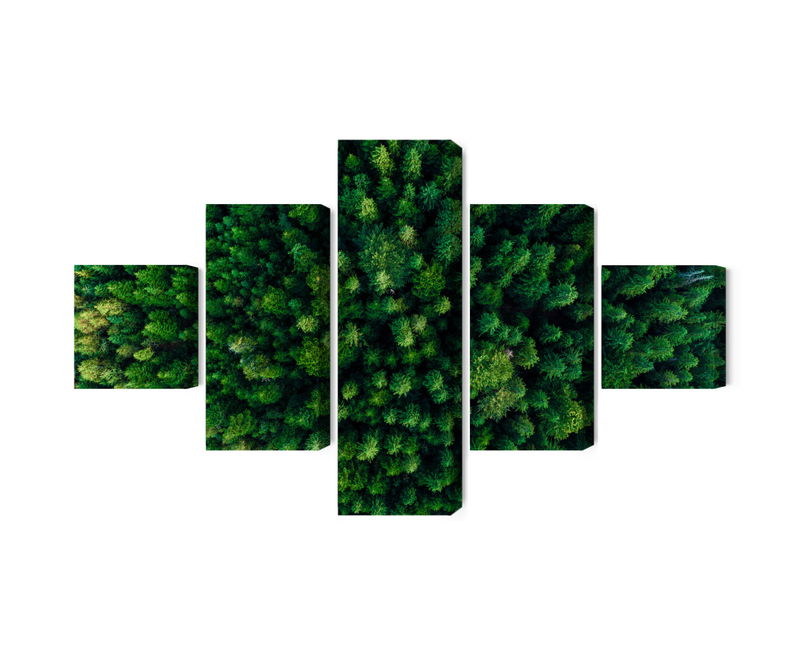 Ljuddämpande tavla - Aerial view of the green