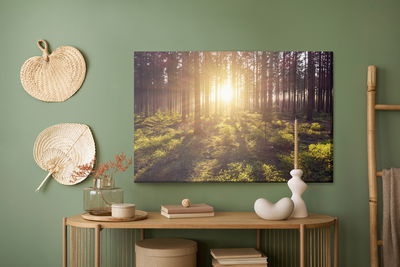 Ljuddämpande tavla - The sun's rays in the forest