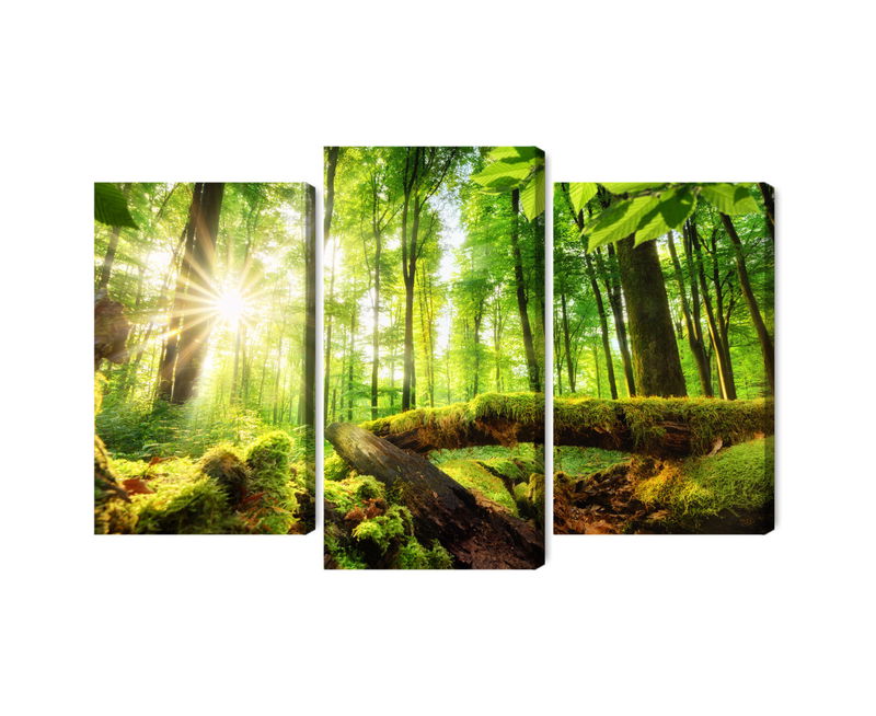 Ljuddämpande tavla - Rays of the sun in the 3d