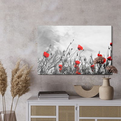 Ljuddämpande tavla - Red poppies on a black