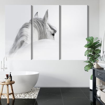 Ljuddämpande tavla - Andalusian horse in the fog