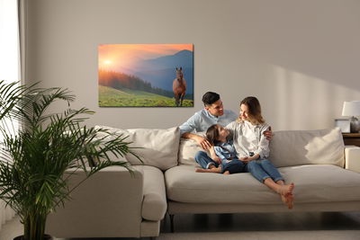 Ljuddämpande tavla - Horse on the background