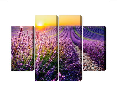 Ljuddämpande tavla - Lavender field at sunset 3d
