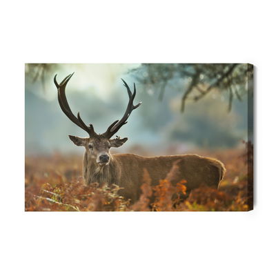 Ljuddämpande tavla - A magnificent stag