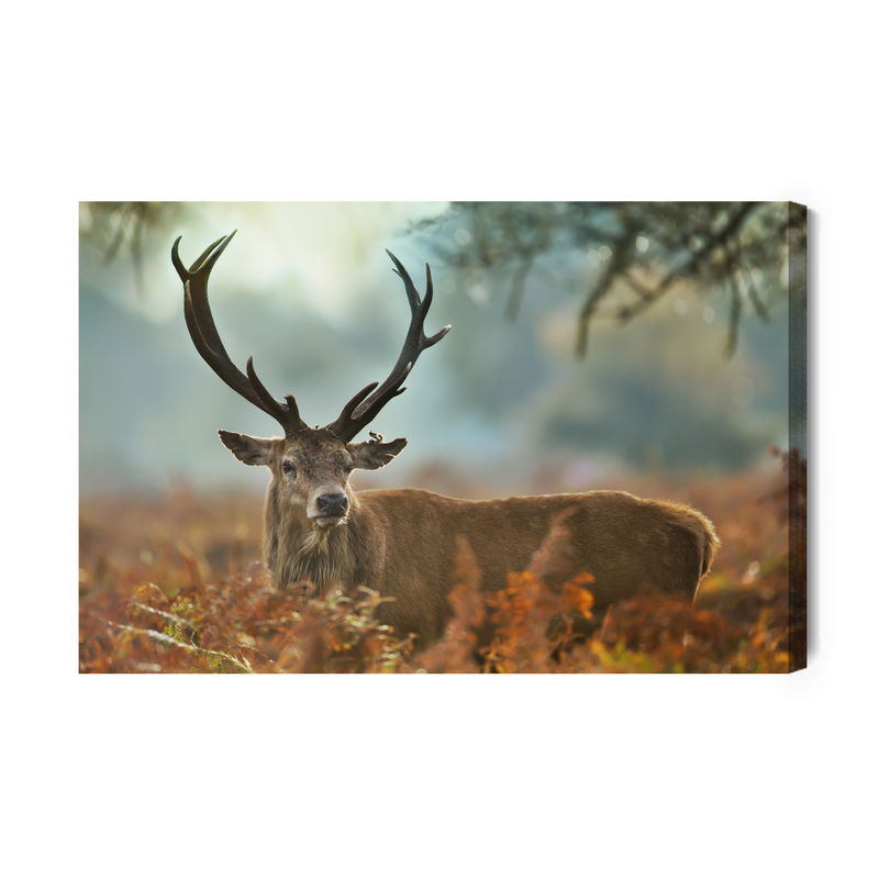 Ljuddämpande tavla - A magnificent stag