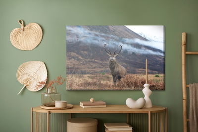 Ljuddämpande tavla - The majestic deer against