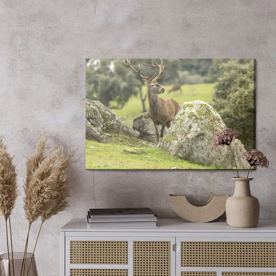 Ljuddämpande tavla - A deer among the rocks