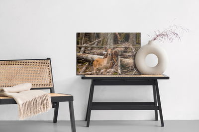 Ljuddämpande tavla - A young deer among the trees