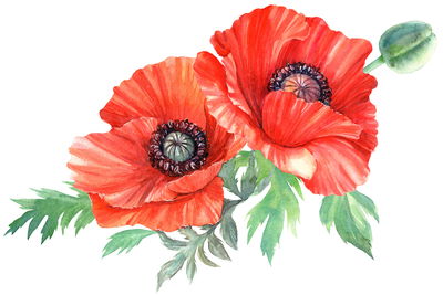 Ljuddämpande tavla - Red poppies painted