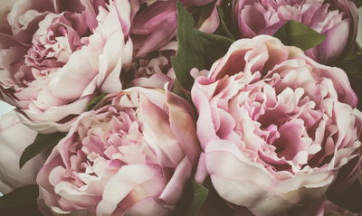 Ljuddämpande tavla - Delicate vintage peony