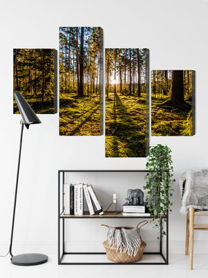 Ljuddämpande tavla - Morning sun rays