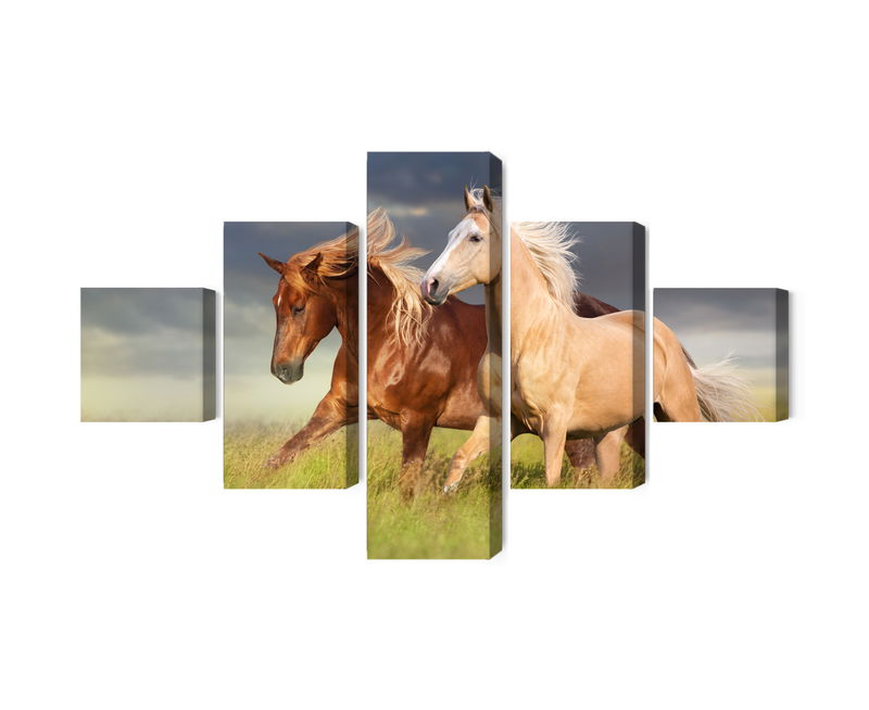 Ljuddämpande tavla - Horses galloping in a 3d