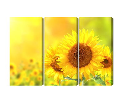Ljuddämpande tavla - Blooming sunflowers 3d