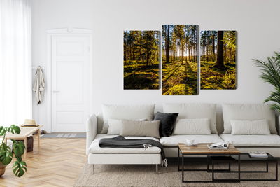 Ljuddämpande tavla - Morning sun rays