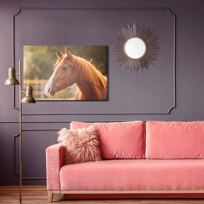 Ljuddämpande tavla - A horse in the paddock