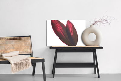 Ljuddämpande tavla - Cordyline bush leaves