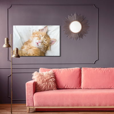 Ljuddämpande tavla - Sleepy ginger kitten