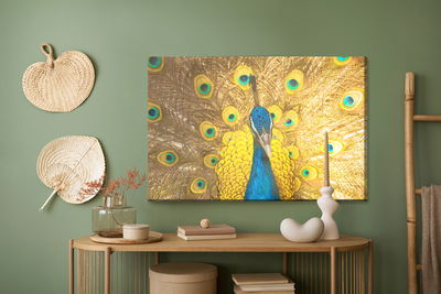 Ljuddämpande tavla - Beautiful colorful peacock