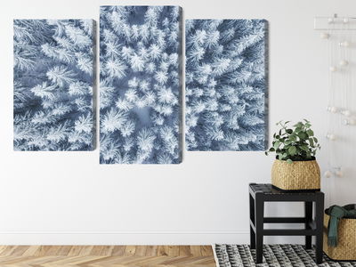 Ljuddämpande tavla - Aerial view of the winter