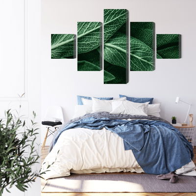 Ljuddämpande tavla - Salvia leaves on a macro