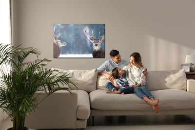 Ljuddämpande tavla - Two deer in the winter forest