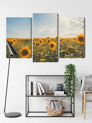 Ljuddämpande tavla - Sunflower field on a summer