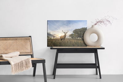 Ljuddämpande tavla - Deer on the background