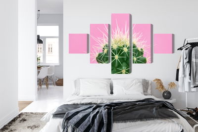 Ljuddämpande tavla - Cactus on a pink background