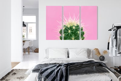 Ljuddämpande tavla - Cactus on a pink background