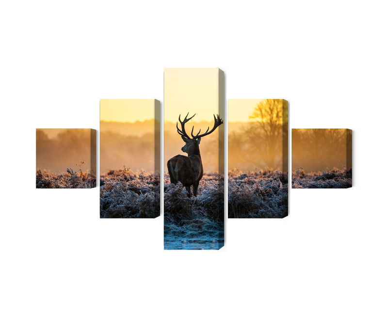 Ljuddämpande tavla - Deer on the rut in 3d