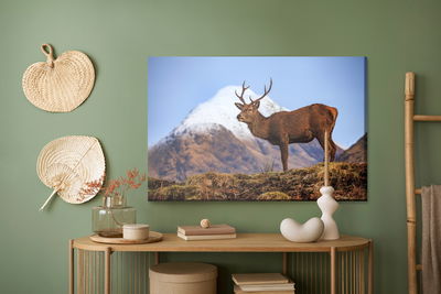 Ljuddämpande tavla - Deer on the background