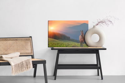 Ljuddämpande tavla - Horse on the background