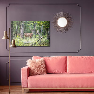 Ljuddämpande tavla - A deer in the middle