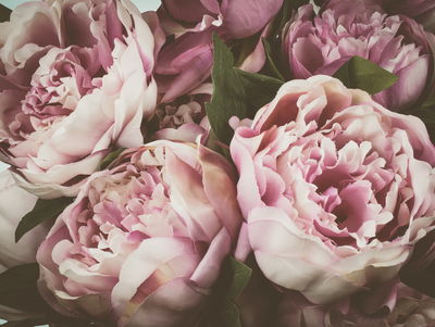 Ljuddämpande tavla - Delicate vintage peony