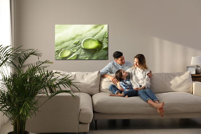 Ljuddämpande tavla - Water drops on a green leaf