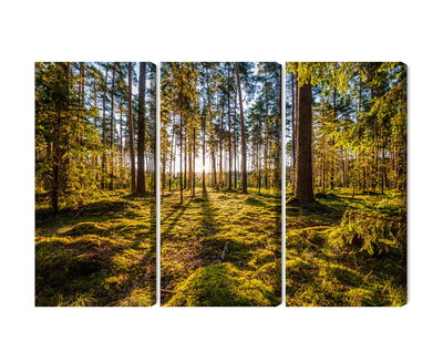 Ljuddämpande tavla - 3d sunny forest landscape