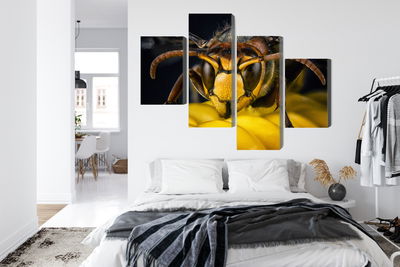 Ljuddämpande tavla - Wasp on a macro scale