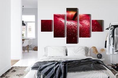 Ljuddämpande tavla - Red apple on a macro scale