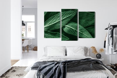 Ljuddämpande tavla - Salvia leaves on a macro