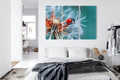 Ljuddämpande tavla - Ladybug on a dandelion