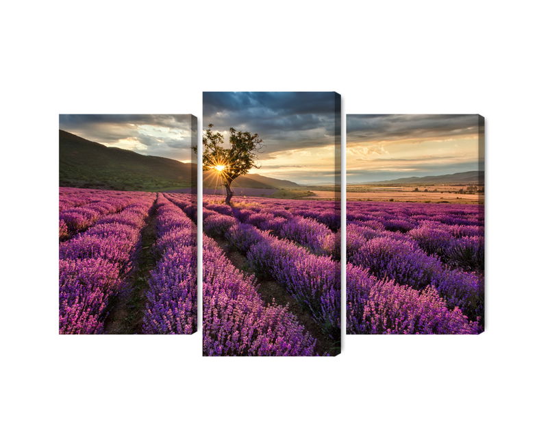 Ljuddämpande tavla - Lavender field at sunset 3d