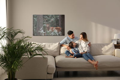 Ljuddämpande tavla - A deer with a magnificent