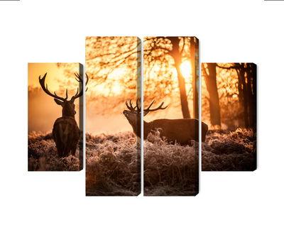 Ljuddämpande tavla - Two deer in the forest