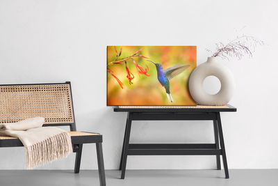 Ljuddämpande tavla - Hummingbird bird and flowers