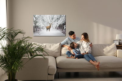 Ljuddämpande tavla - Deer in the winter forest