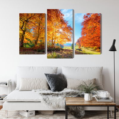 Ljuddämpande tavla - Colourful autumn trees